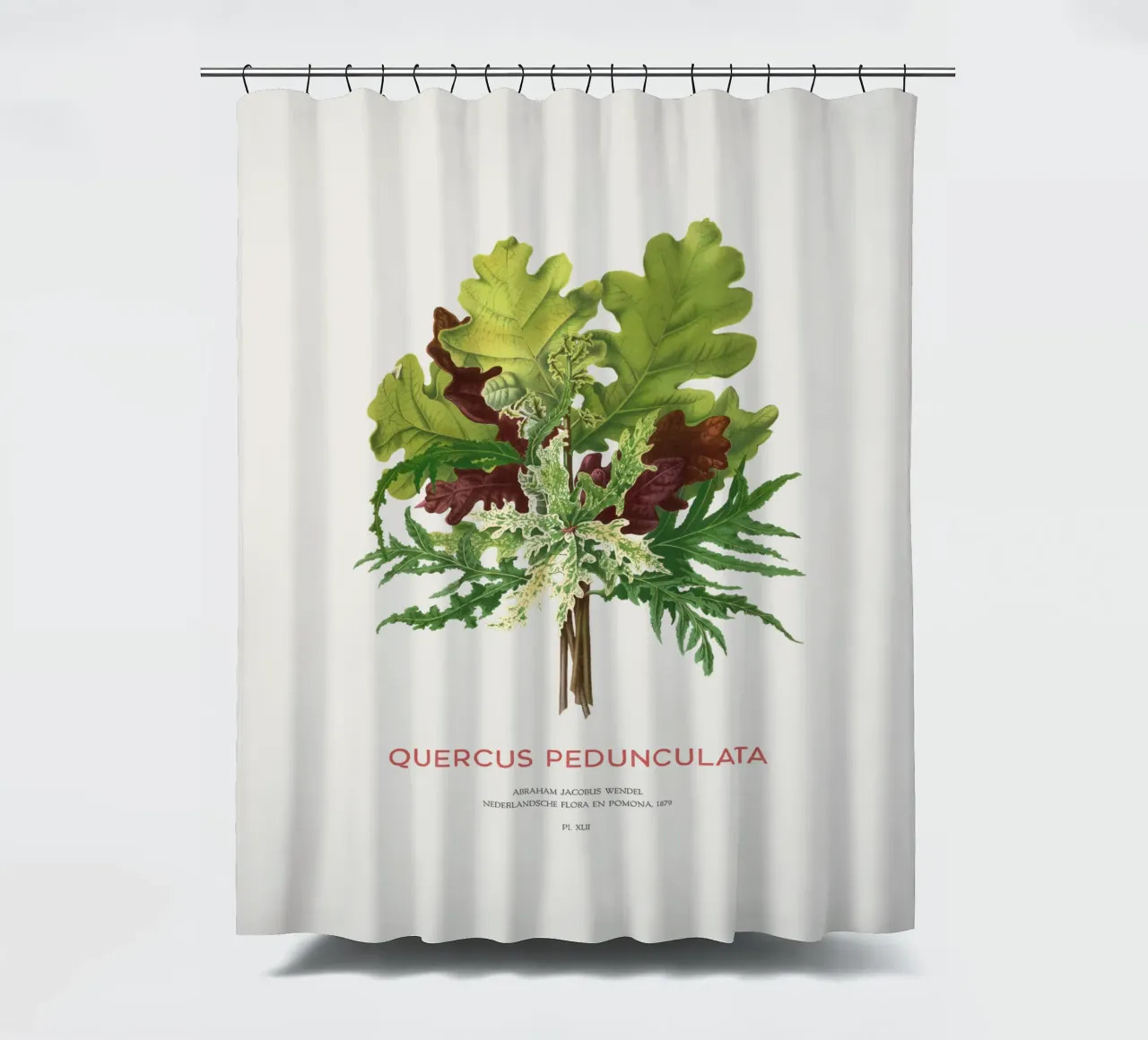 Stieleiche oder Quercus pedunculata Duschvorhang von Vintagrafica