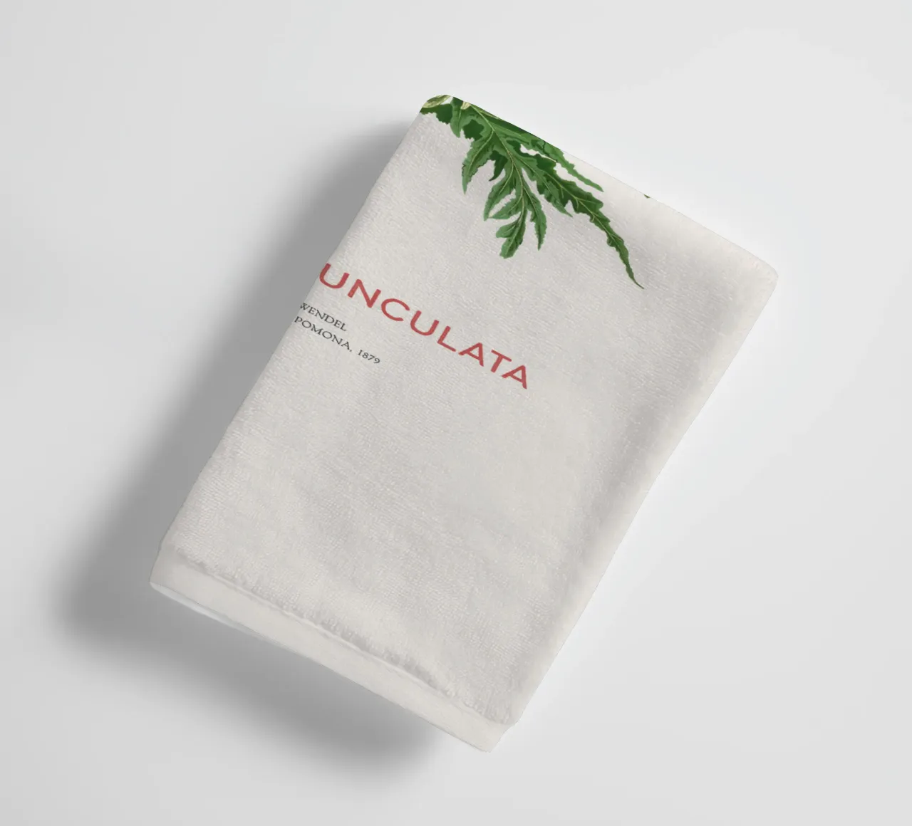 Stieleiche oder Quercus pedunculata Handtuch von Vintagrafica