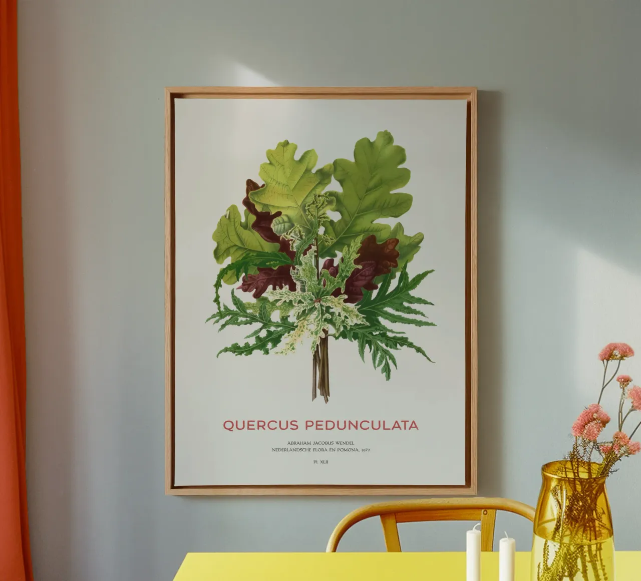 Stieleiche oder Quercus pedunculata Leinwand mit Schattenfugenrahmen von Vintagrafica