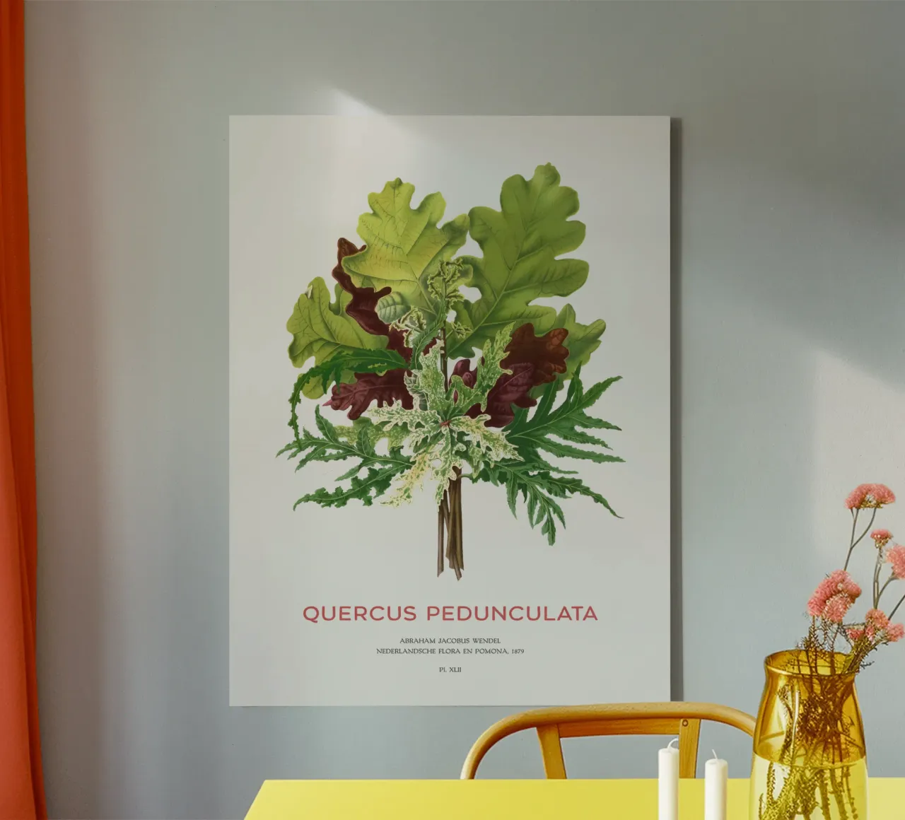 Stieleiche oder Quercus pedunculata Leinwand mit Schattenfugenrahmen von Vintagrafica