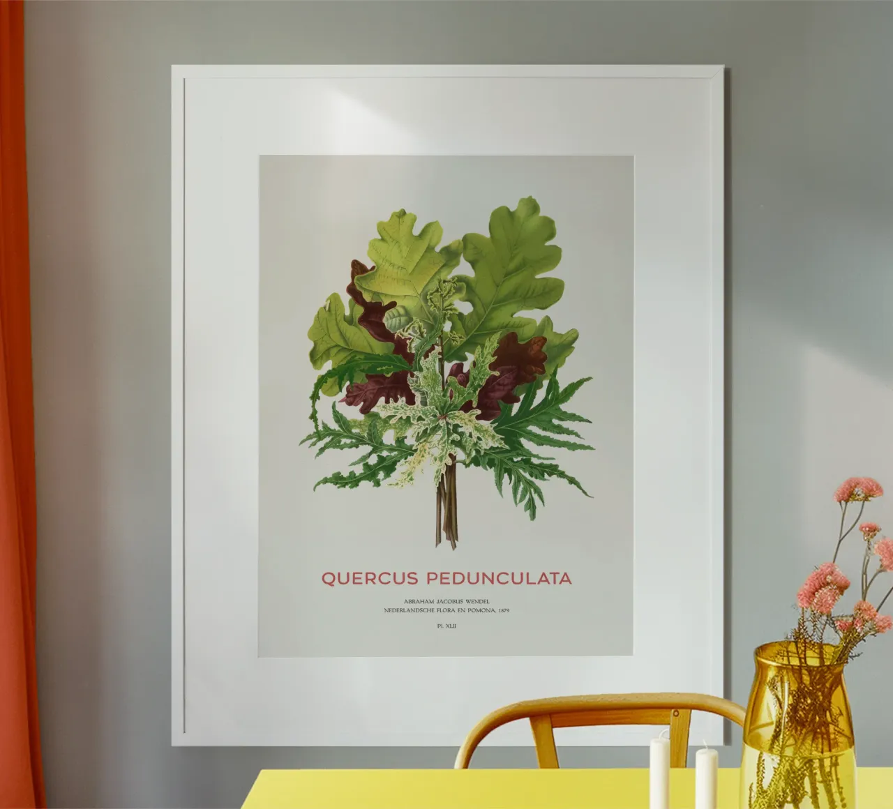 Stieleiche oder Quercus pedunculata Hahnemühle von Vintagrafica