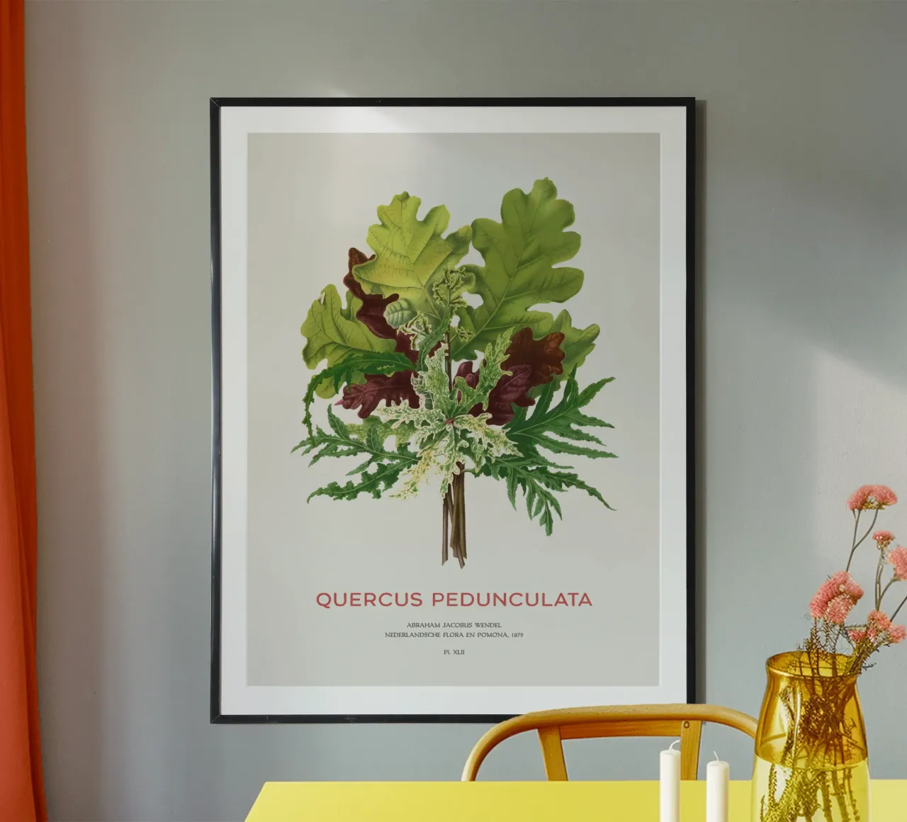 Stieleiche oder Quercus pedunculata Hahnemühle von Vintagrafica