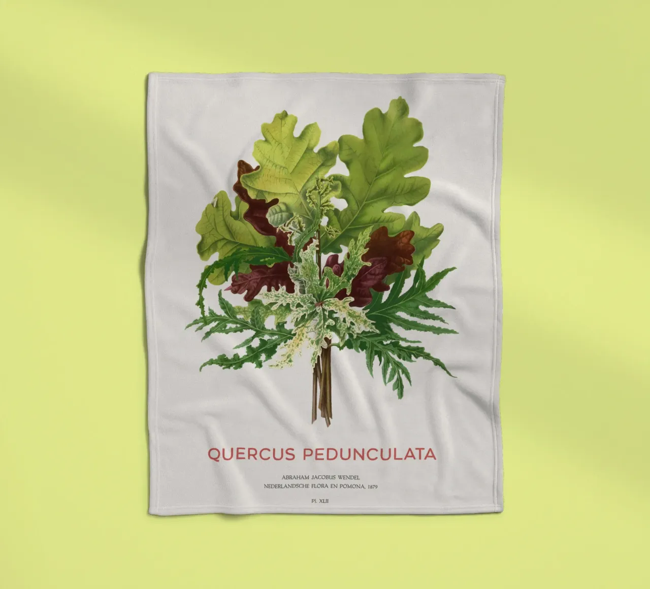 Quercia peduncolata o Quercus pedunculata coperta in pile da Vintagrafica