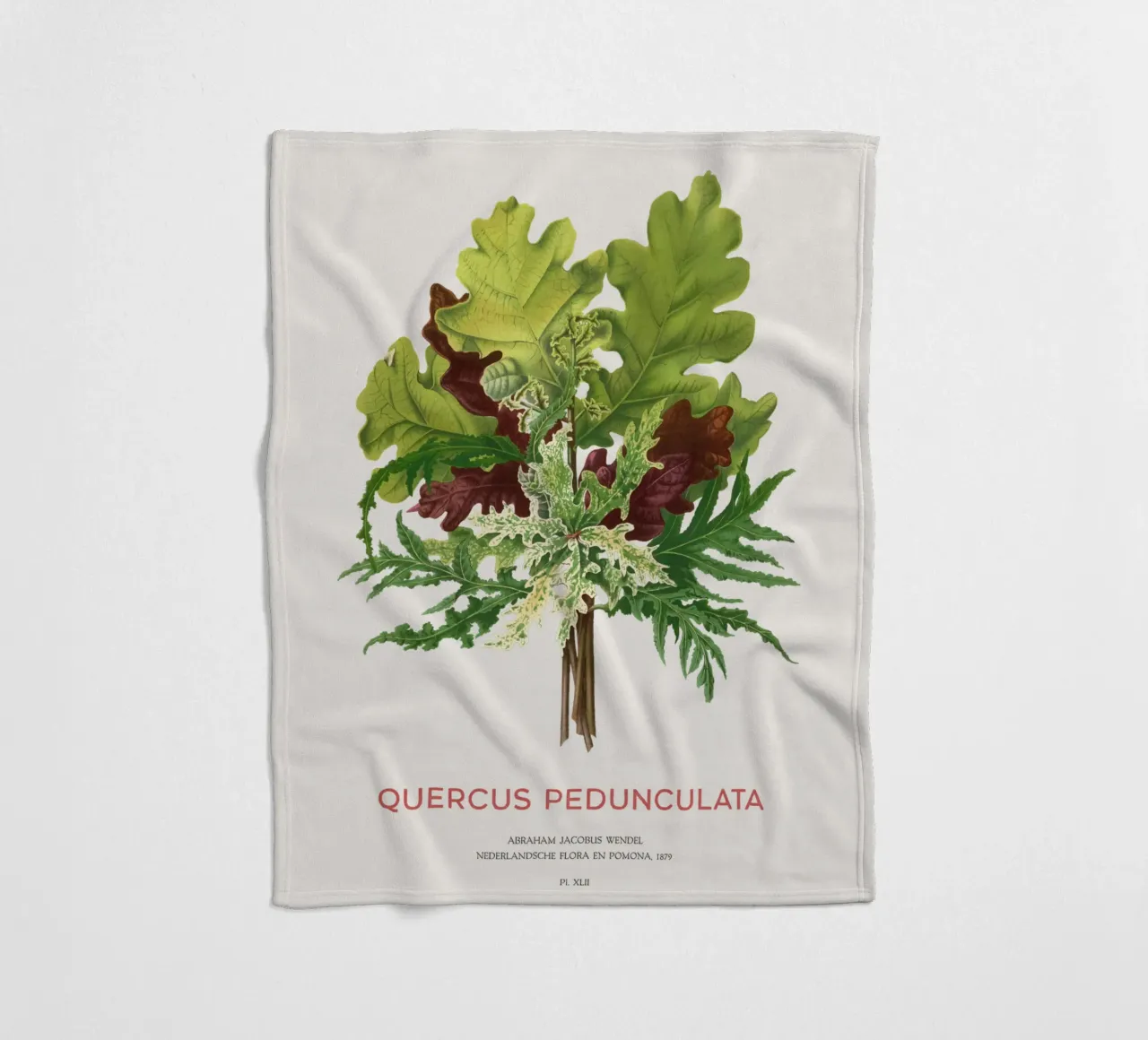 Quercia peduncolata o Quercus pedunculata coperta in pile da Vintagrafica