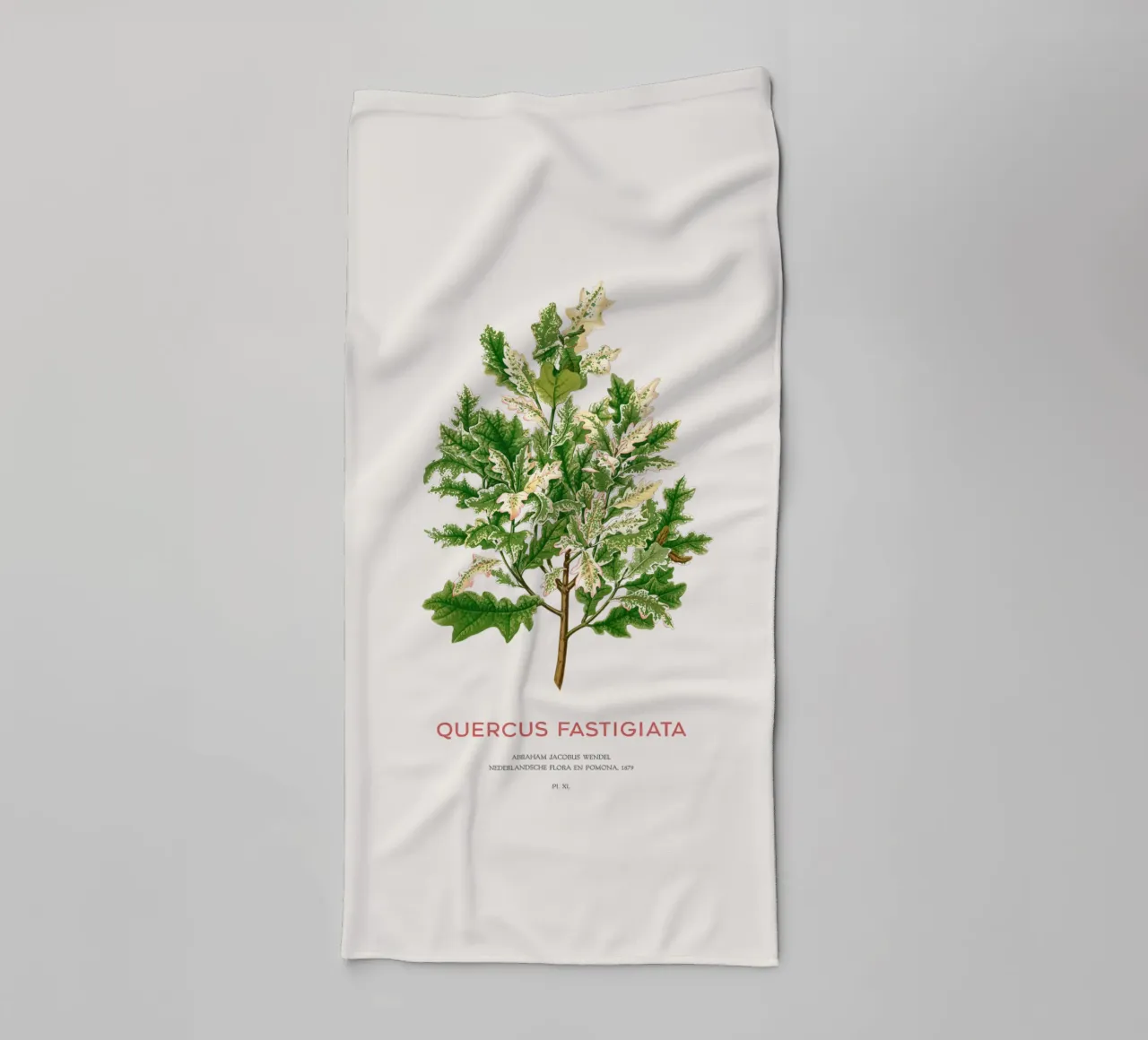 Quercia peduncolata o Quercus fastigiata asciugamano da bagno da Vintagrafica