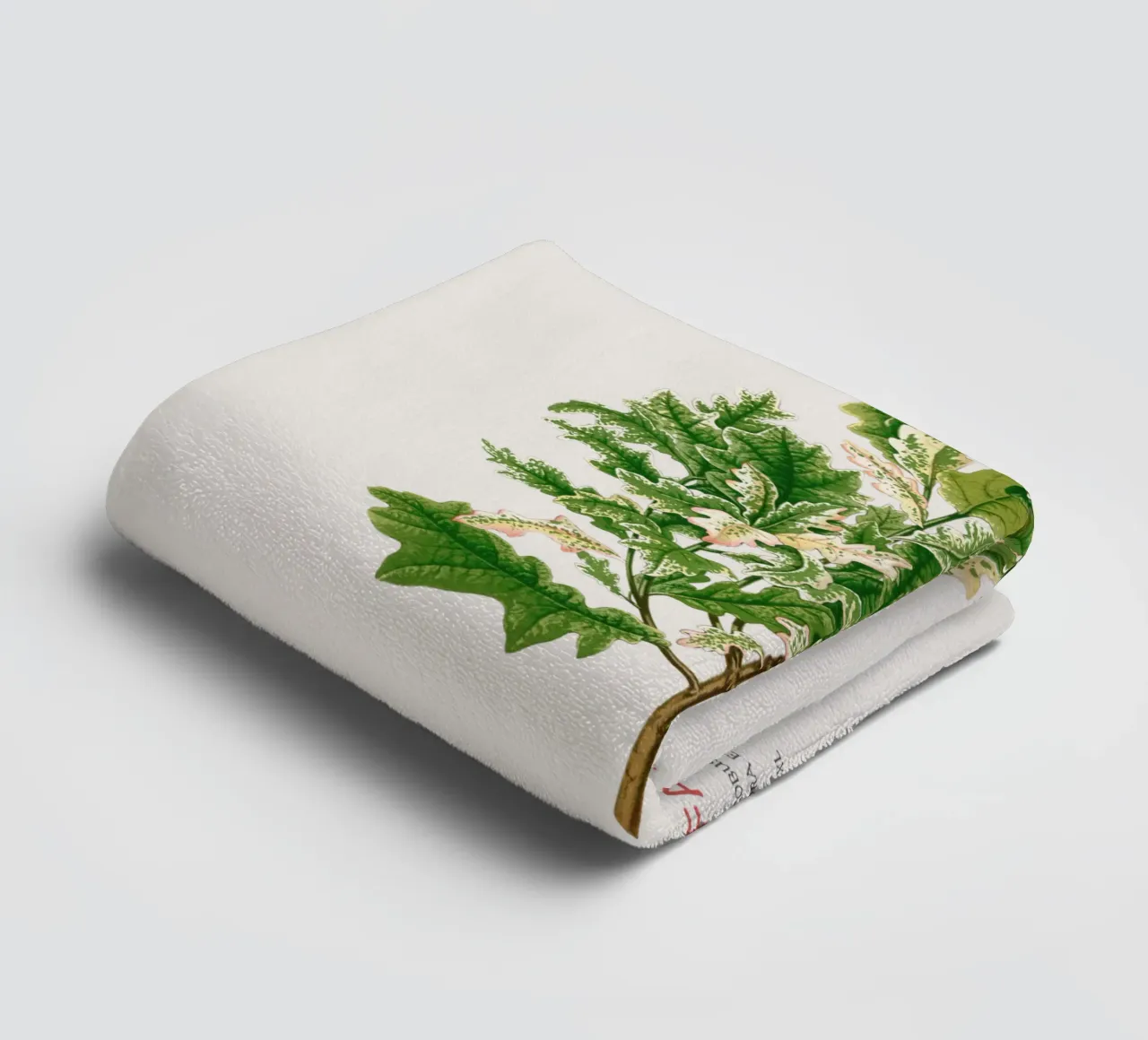 Quercia peduncolata o Quercus fastigiata asciugamano da bagno da Vintagrafica