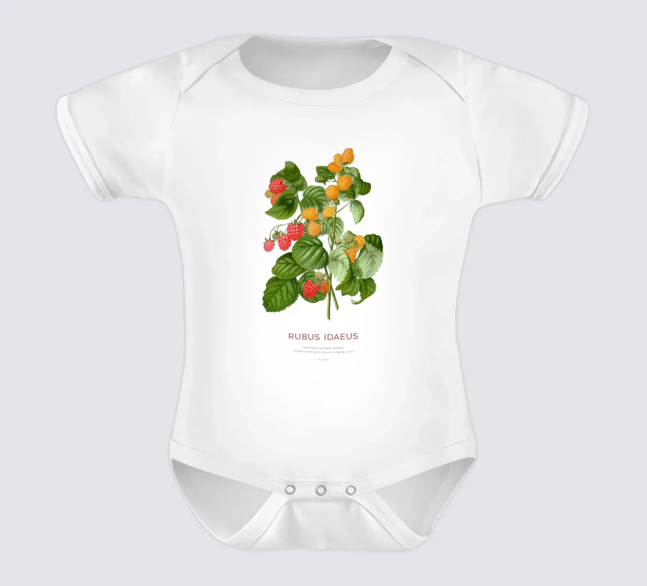 Red raspberry or Rubus idaeus short-sleeve baby romper by Vintagrafica