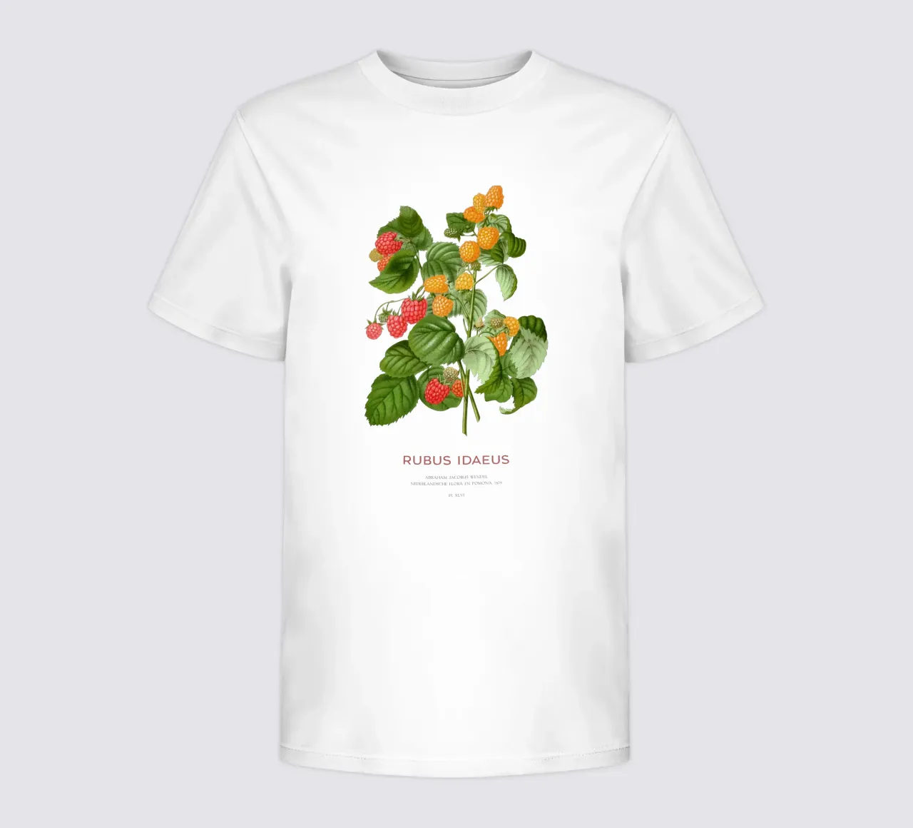 Red raspberry or Rubus idaeus kids t-shirt by Vintagrafica