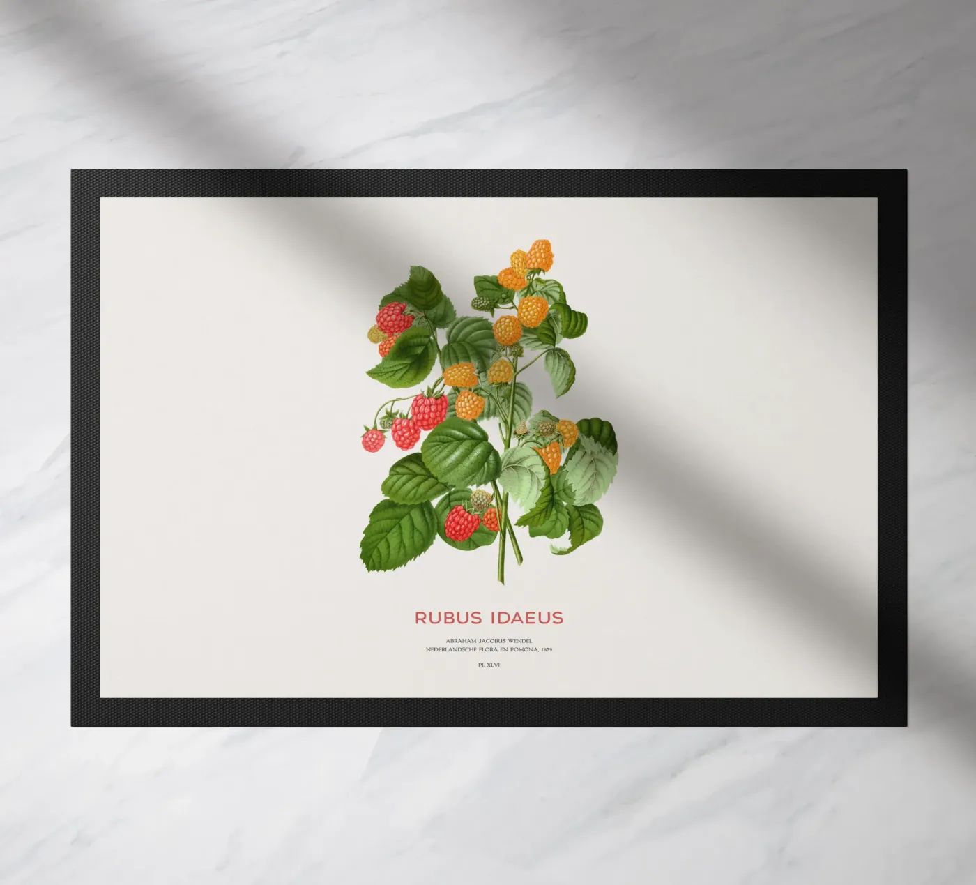 Rote Himbeere oder Rubus idaeus Fußmatte von Vintagrafica