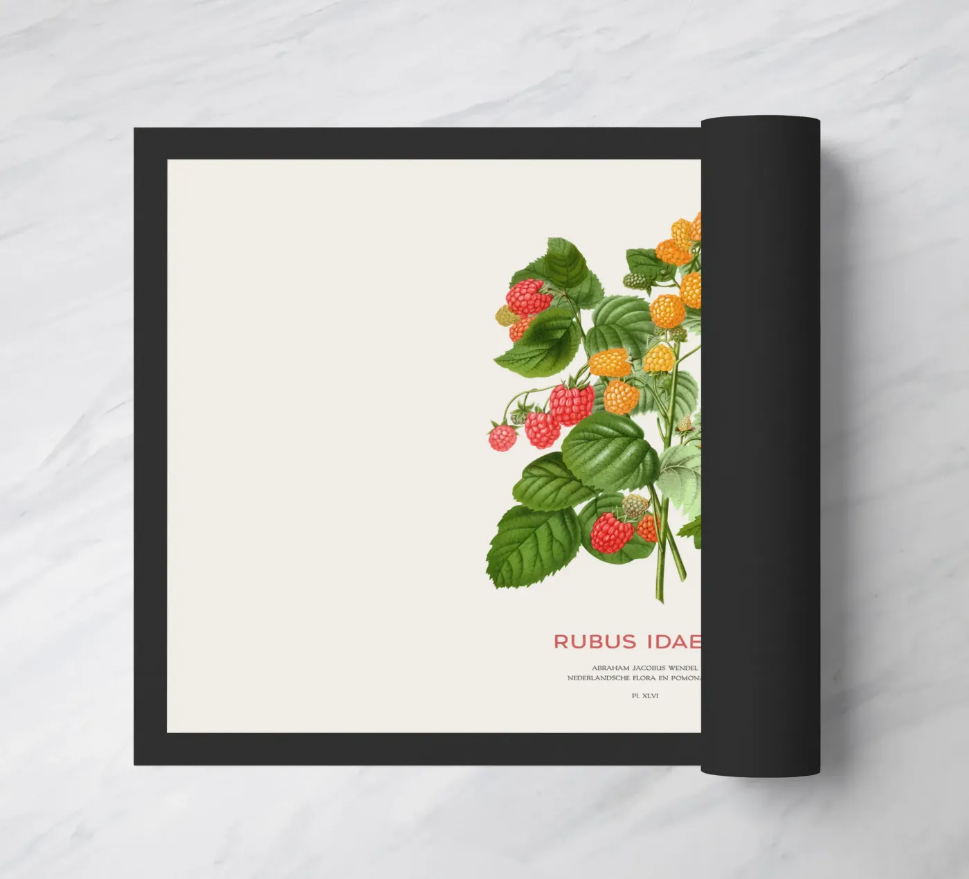 Rote Himbeere oder Rubus idaeus Fußmatte von Vintagrafica