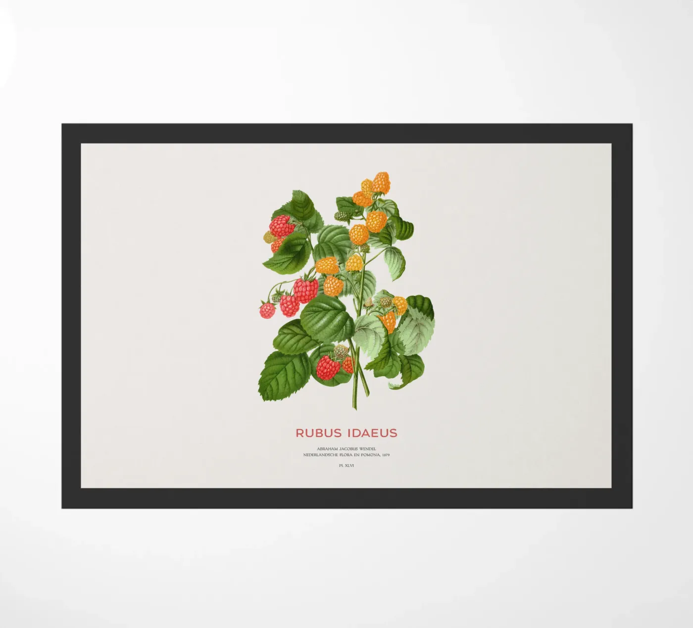 Rote Himbeere oder Rubus idaeus Fußmatte von Vintagrafica