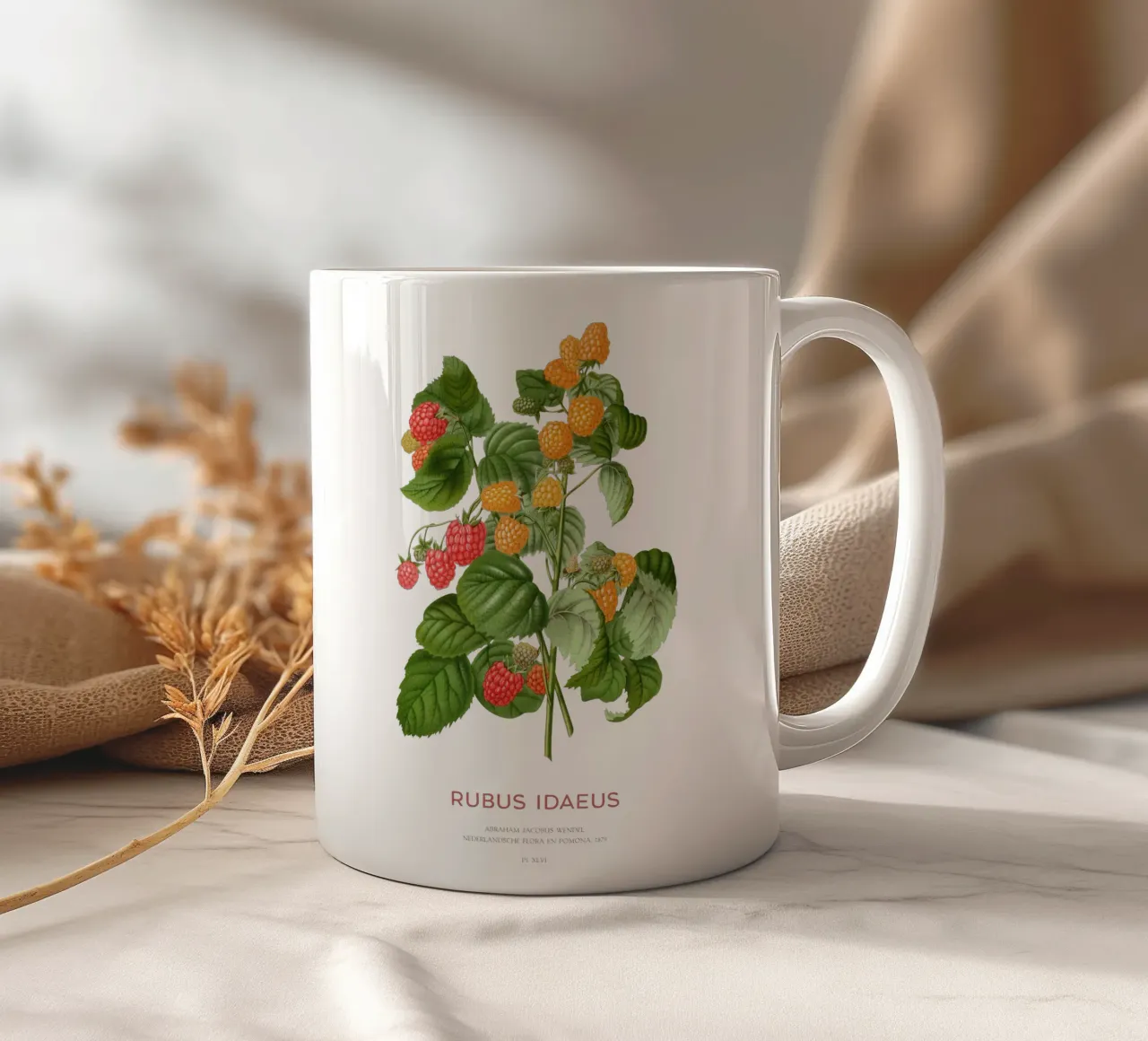 Lampone rosso o Rubus idaeus tazza in ceramica da Vintagrafica