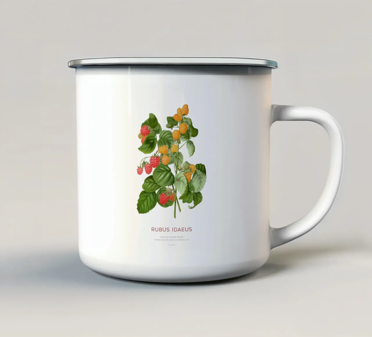 Lampone rosso o Rubus idaeus tazza in smalto da Vintagrafica