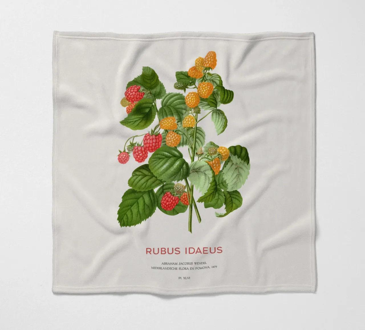 Red raspberry or Rubus idaeus fleece blanket by Vintagrafica