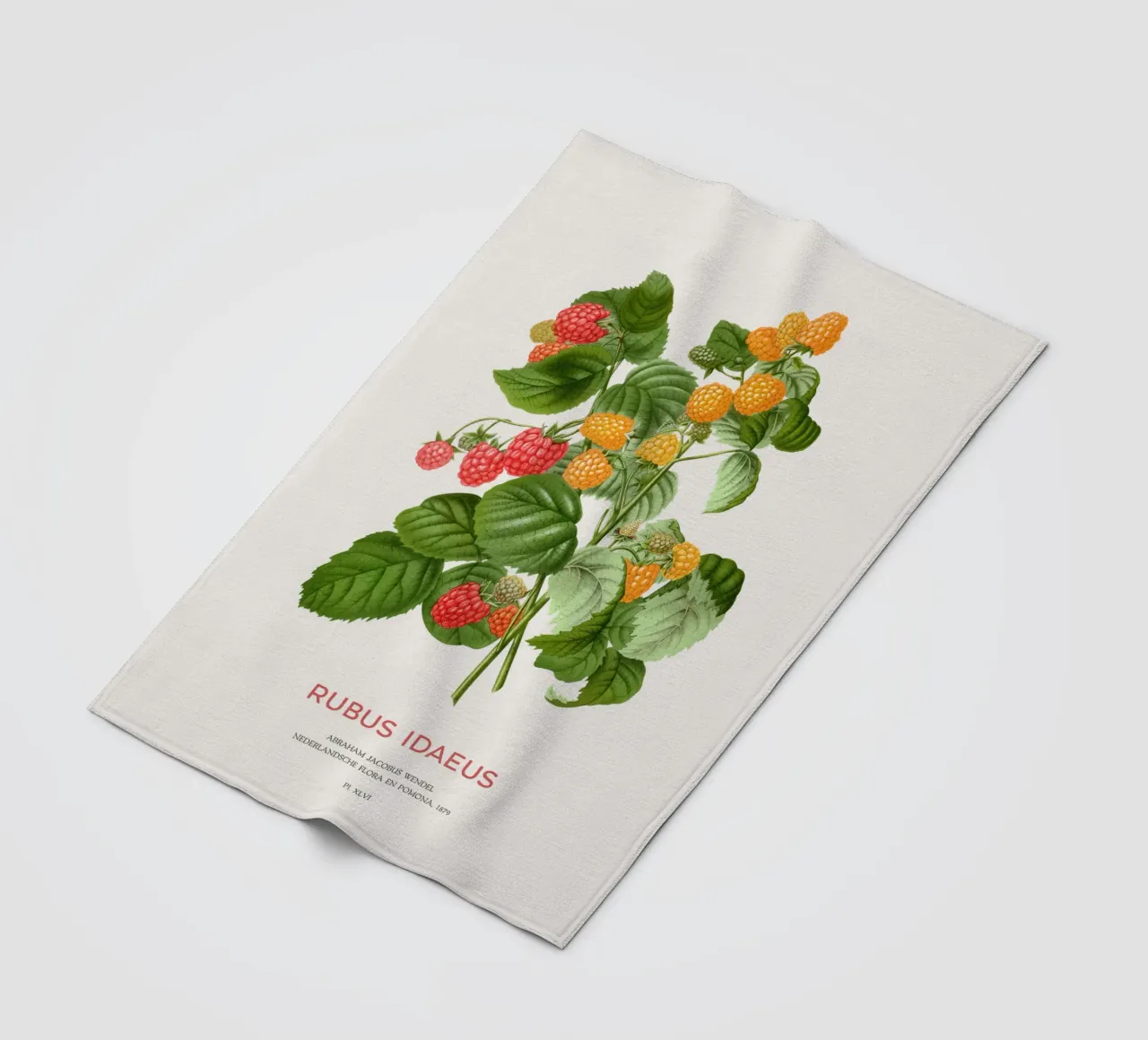 Red raspberry or Rubus idaeus fleece blanket by Vintagrafica