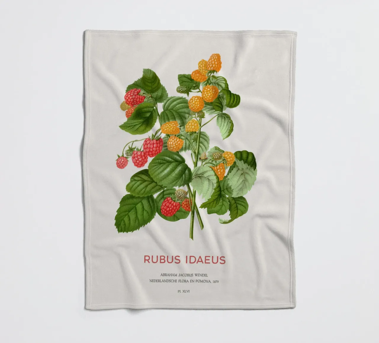 Red raspberry or Rubus idaeus fleece blanket by Vintagrafica