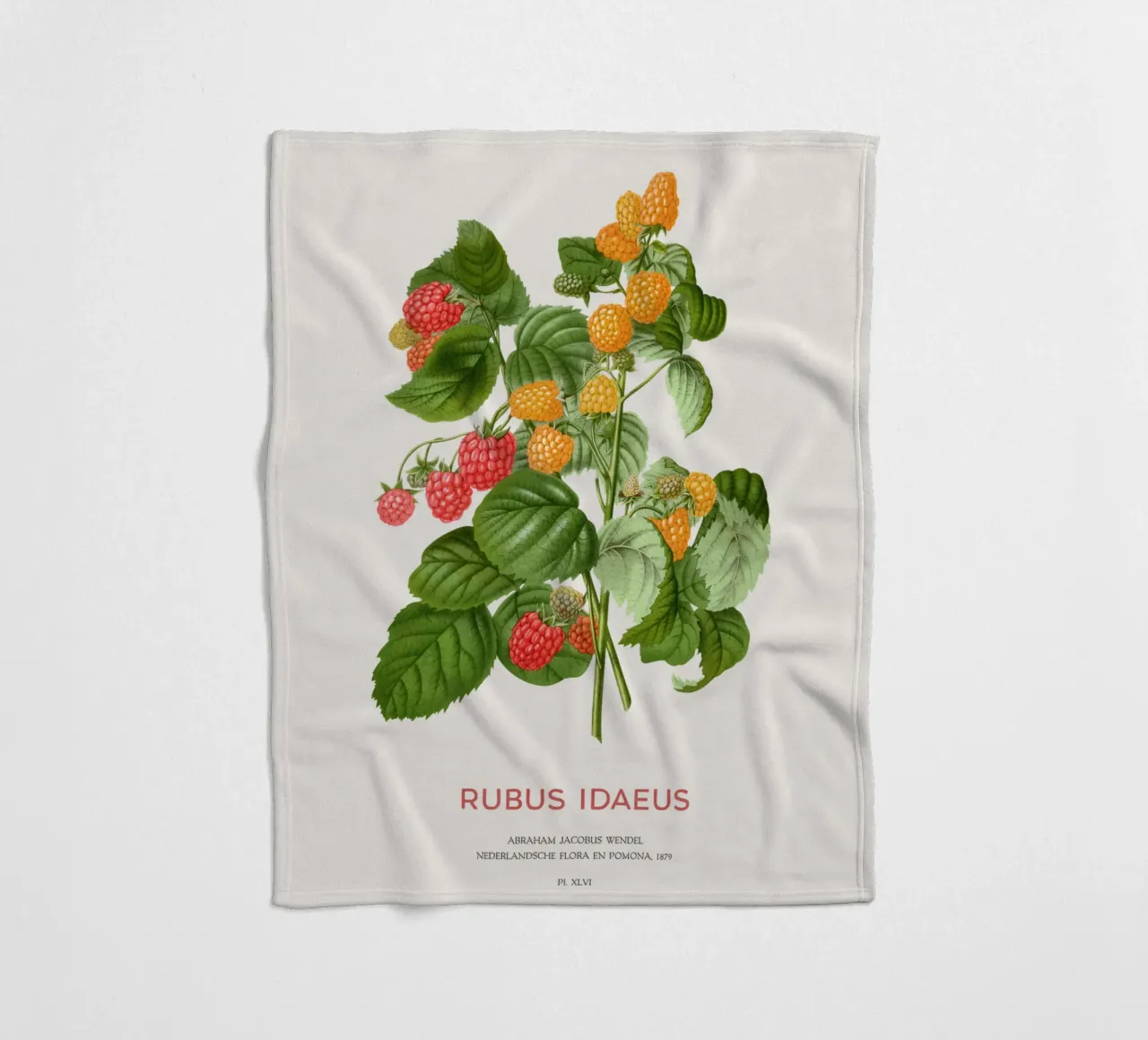 Red raspberry or Rubus idaeus fleece blanket by Vintagrafica