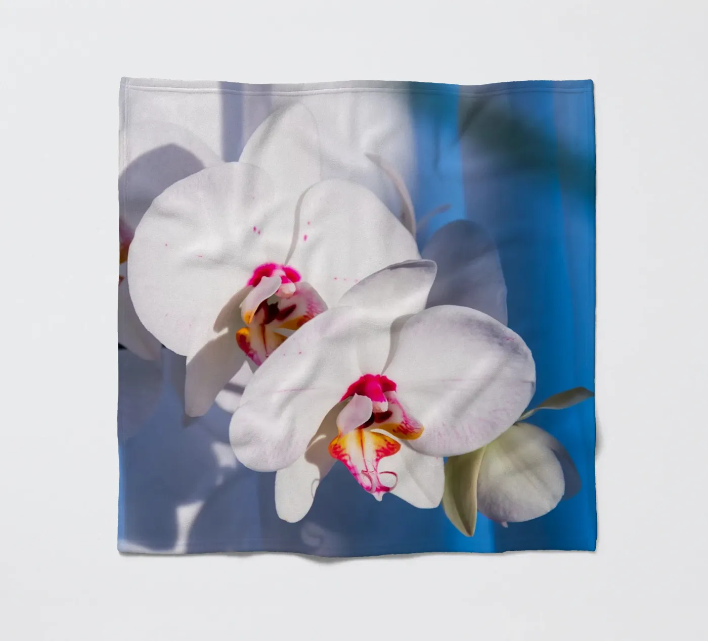 Flora #11 Fleecedecke von rafael campezato