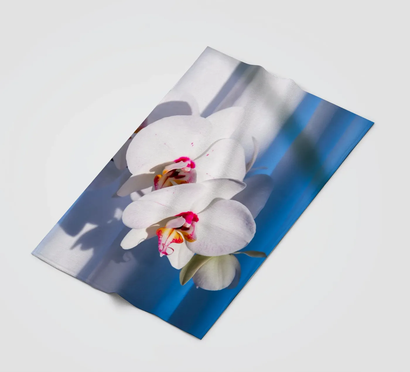 Flora #11 Fleecedecke von rafael campezato