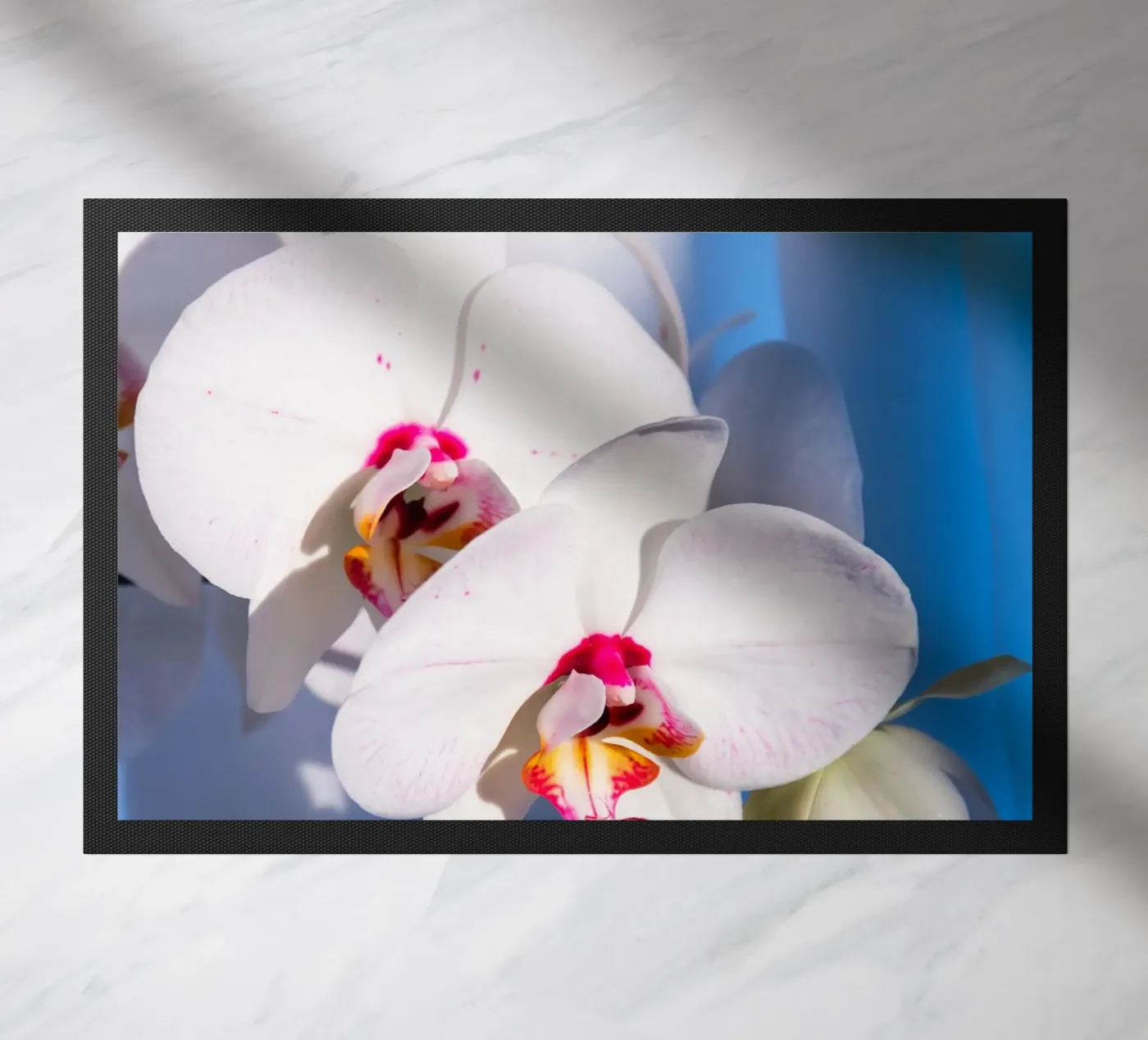 Flora #11 Fußmatte von rafael campezato