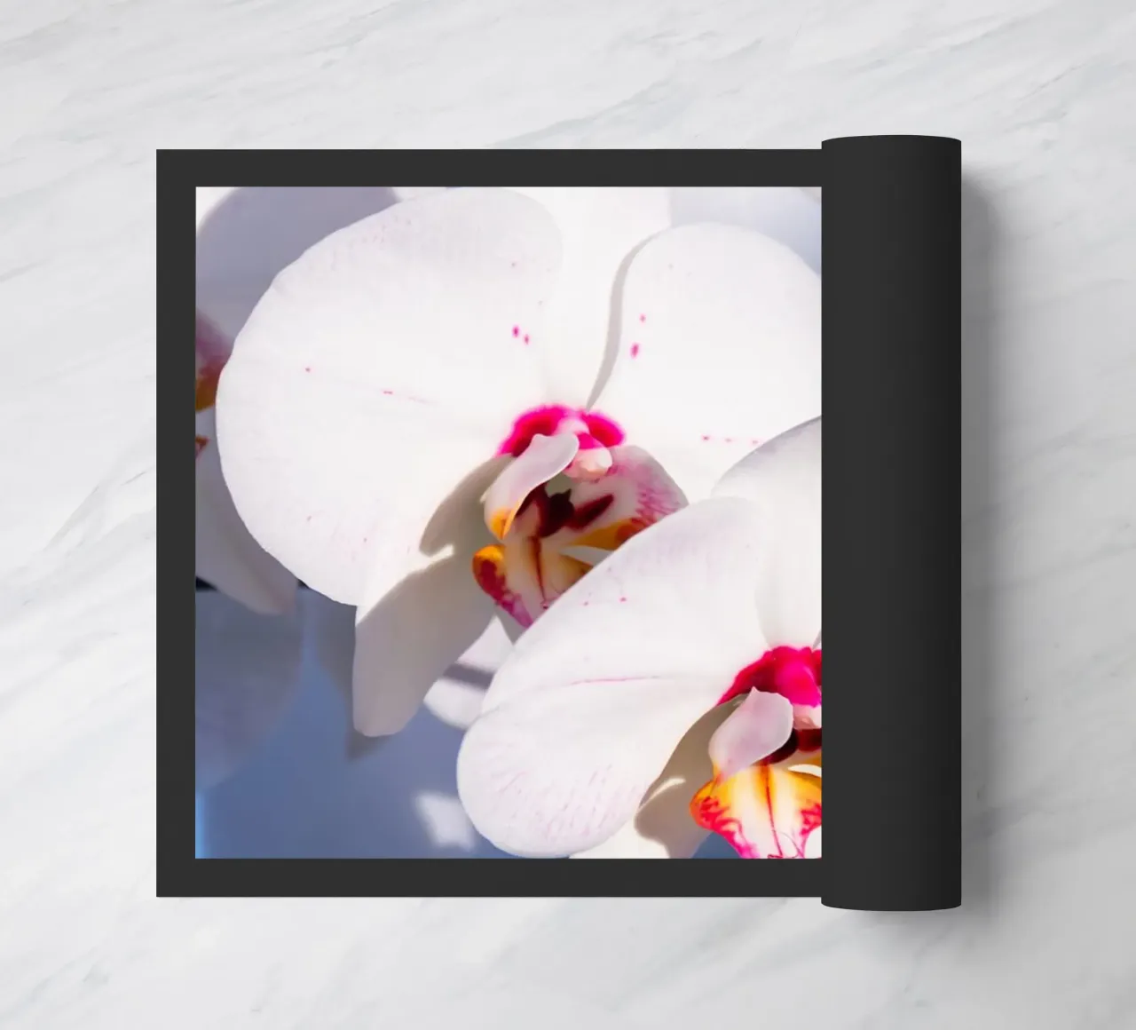 Flora #11 zerbino da rafael campezato