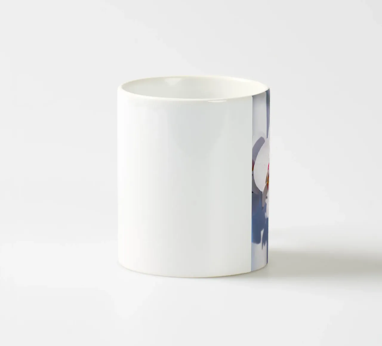 Flora #11 tazza in ceramica da rafael campezato