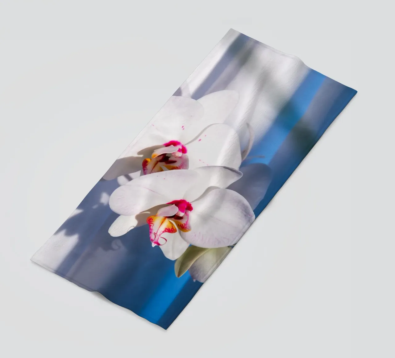 Flora #11 telo mare da rafael campezato