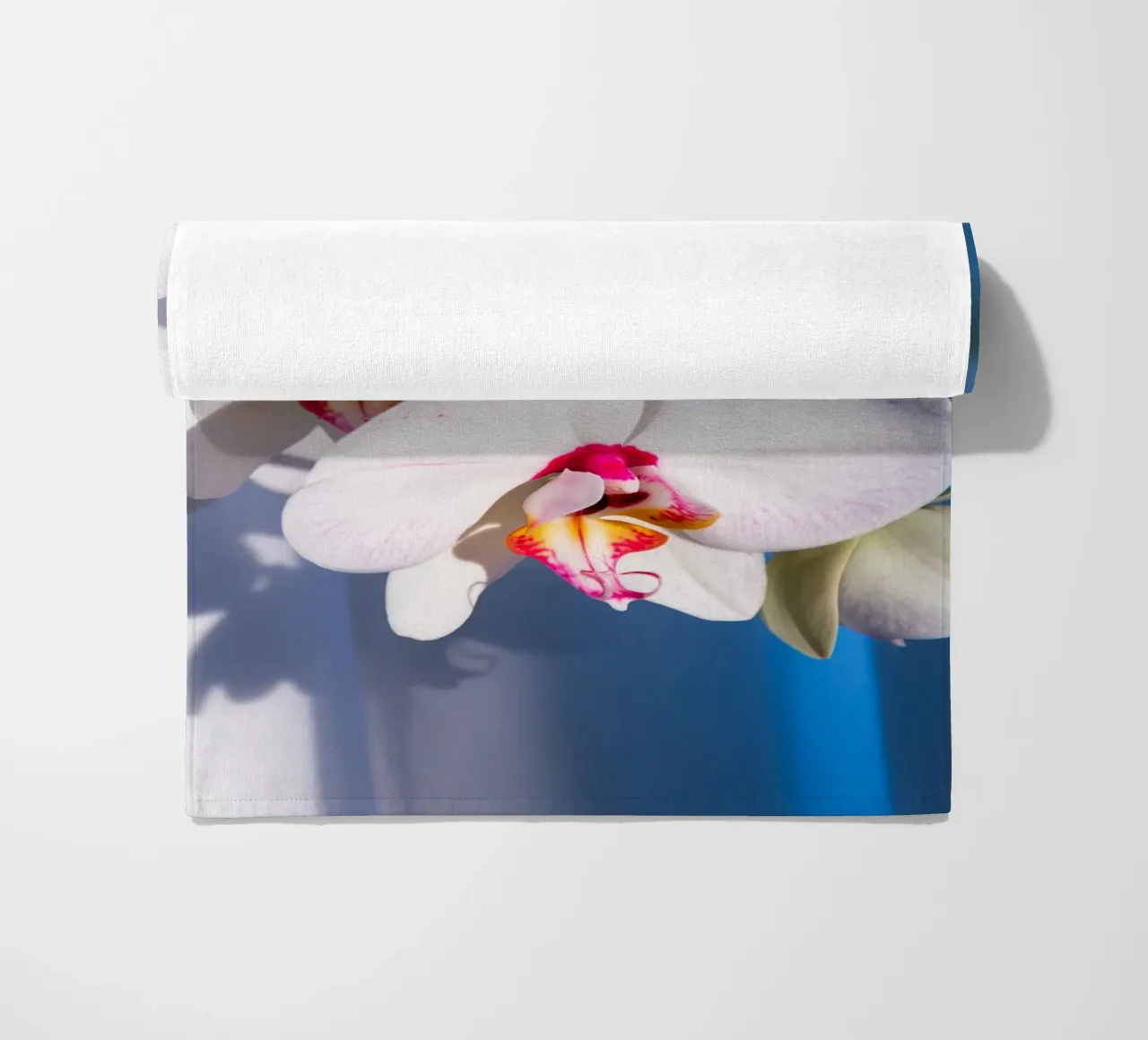 Flora #11 telo mare da rafael campezato