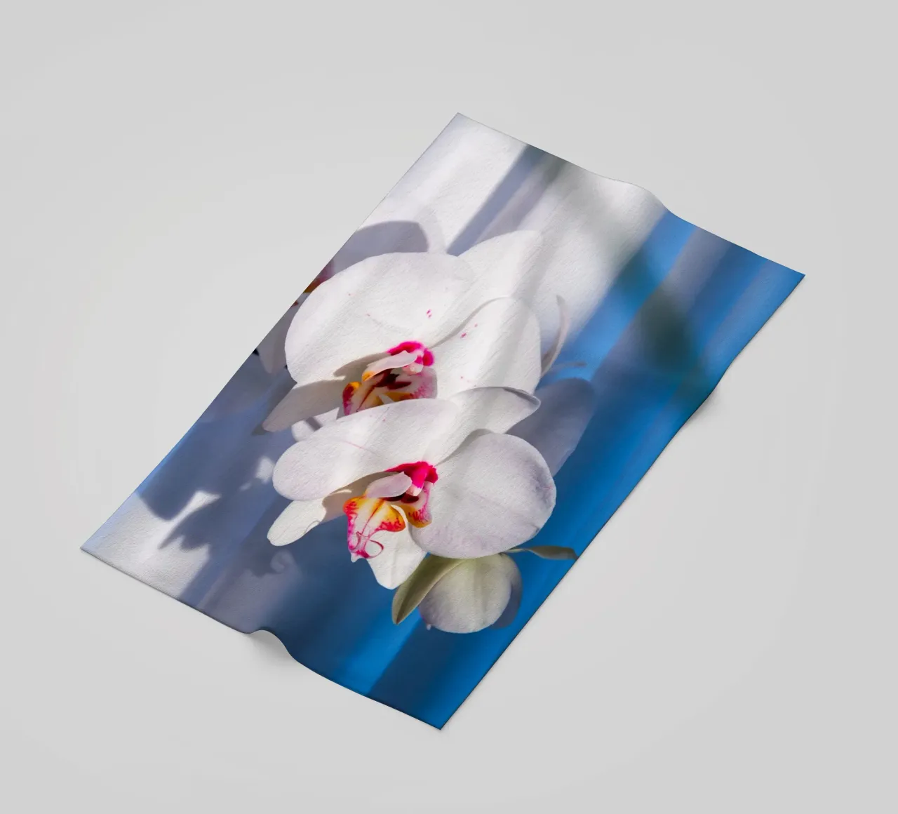 Flora #11 telo mare da rafael campezato