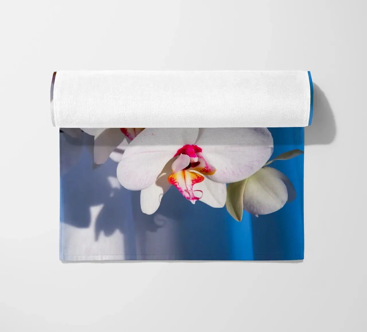 Flora #11 telo mare da rafael campezato