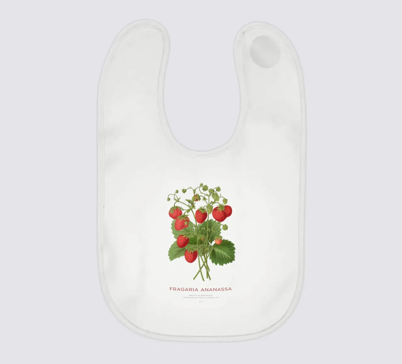 Gartenerdbeere oder Fragaria ananassa Babylätzchen von Vintagrafica