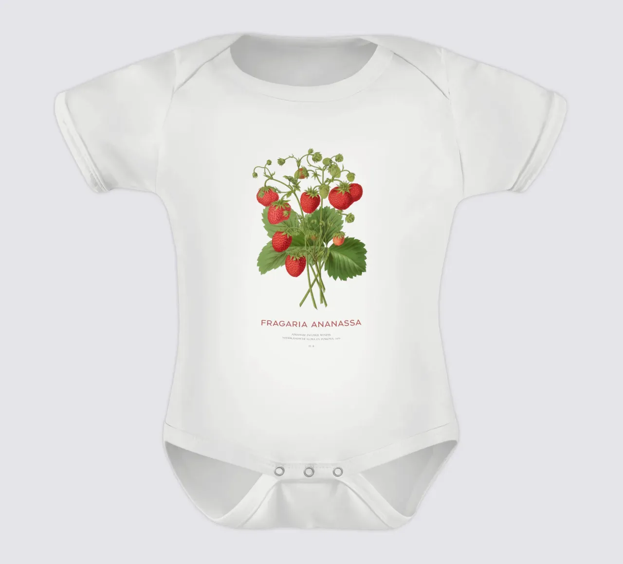 Gartenerdbeere oder Fragaria ananassa Kurzarm Babybody von Vintagrafica