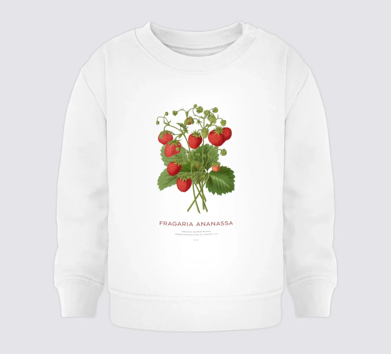 Fragola da giardino o Fragaria ananassa felpa neonato da Vintagrafica