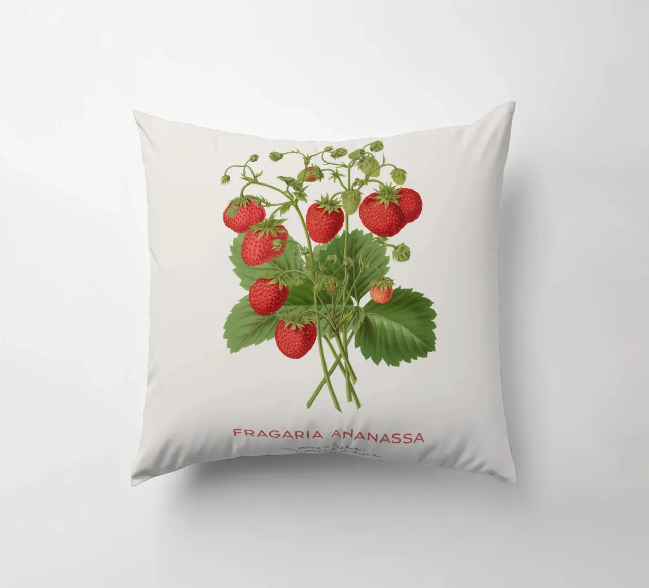 Fragola da giardino o Fragaria ananassa cuscino da Vintagrafica