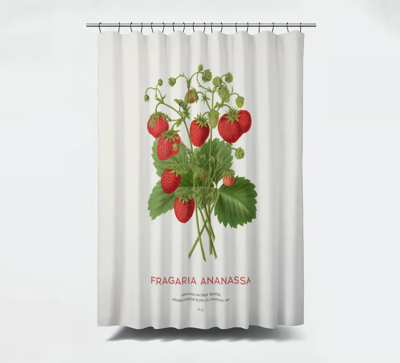 Gartenerdbeere oder Fragaria ananassa Duschvorhang von Vintagrafica