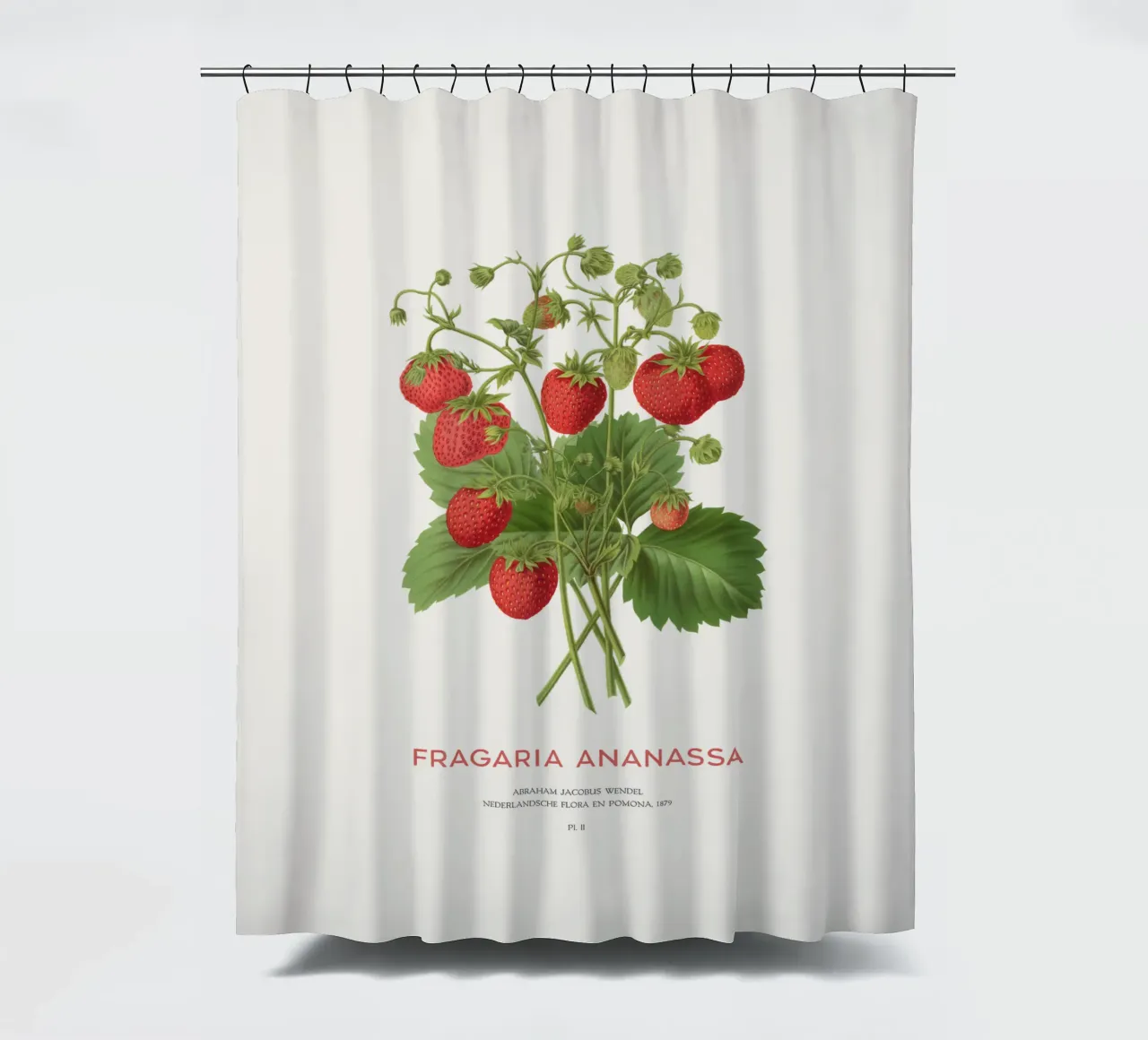 Gartenerdbeere oder Fragaria ananassa Duschvorhang von Vintagrafica