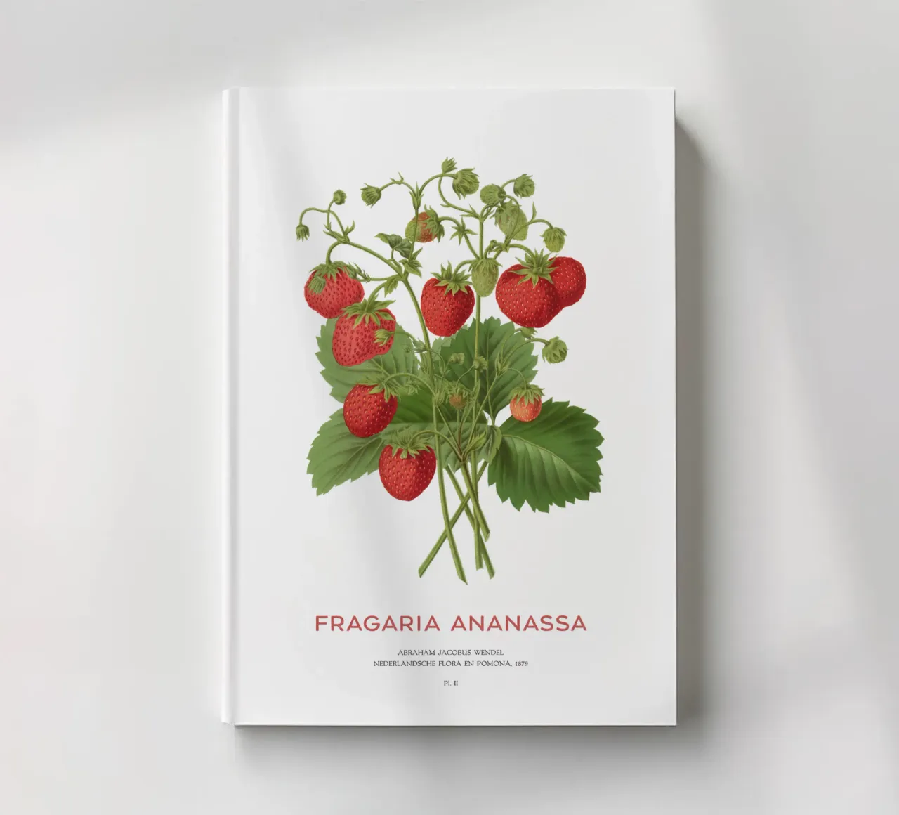 Gartenerdbeere oder Fragaria ananassa Notizbuch von Vintagrafica