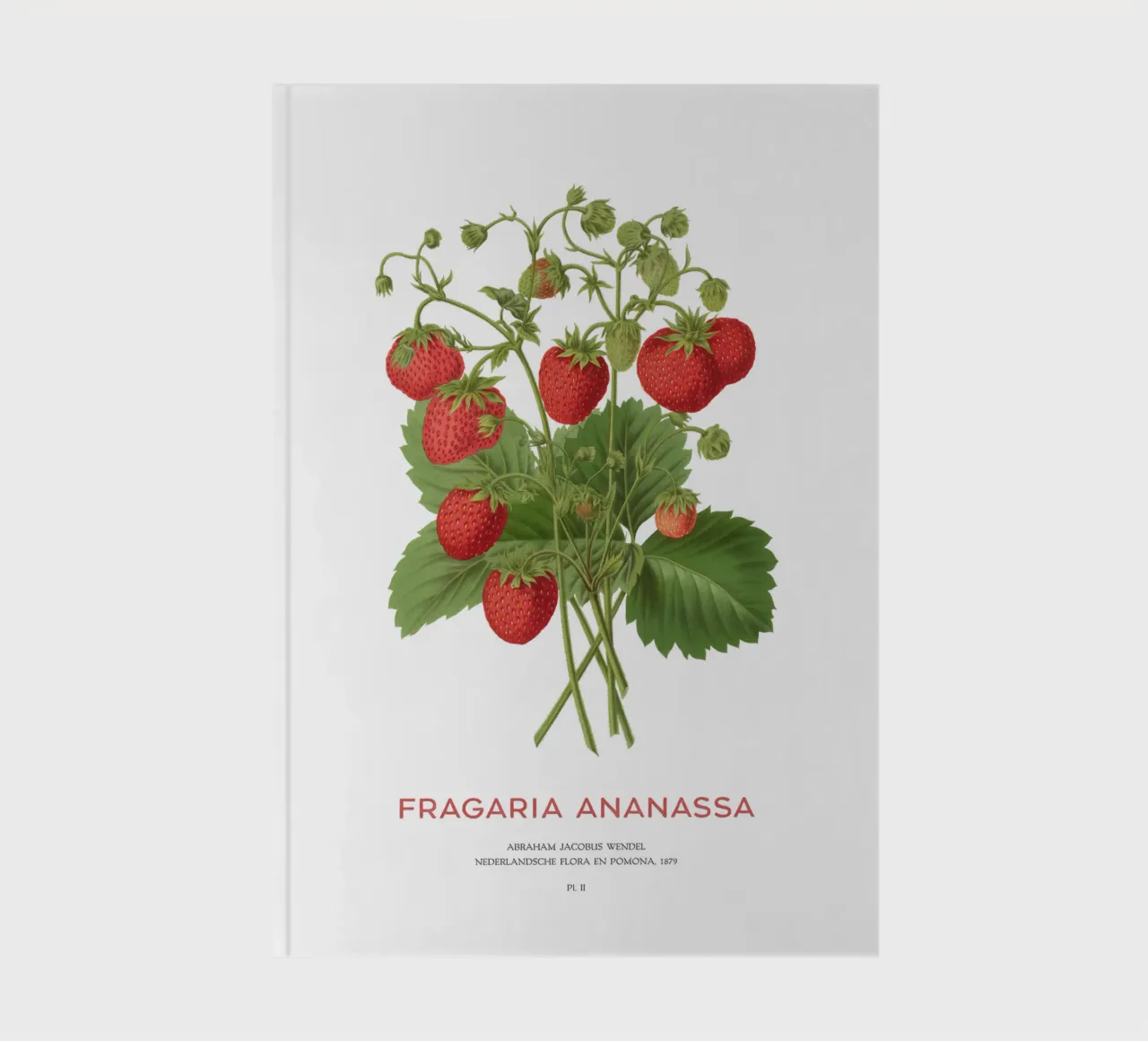 Gartenerdbeere oder Fragaria ananassa Notizbuch von Vintagrafica