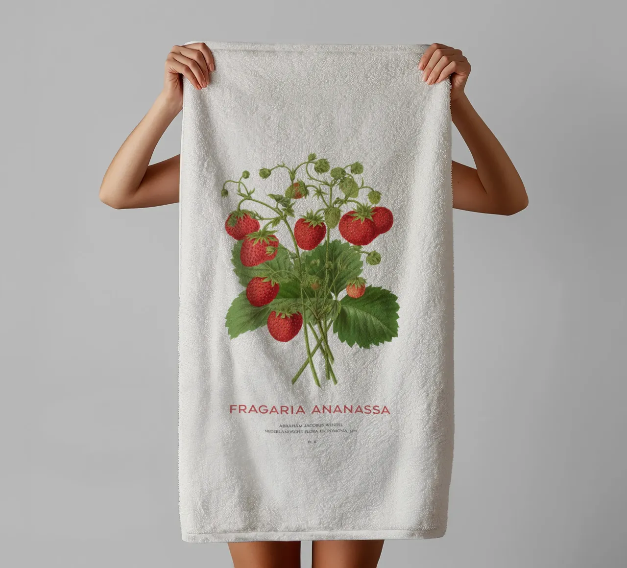 Gartenerdbeere oder Fragaria ananassa Handtuch von Vintagrafica