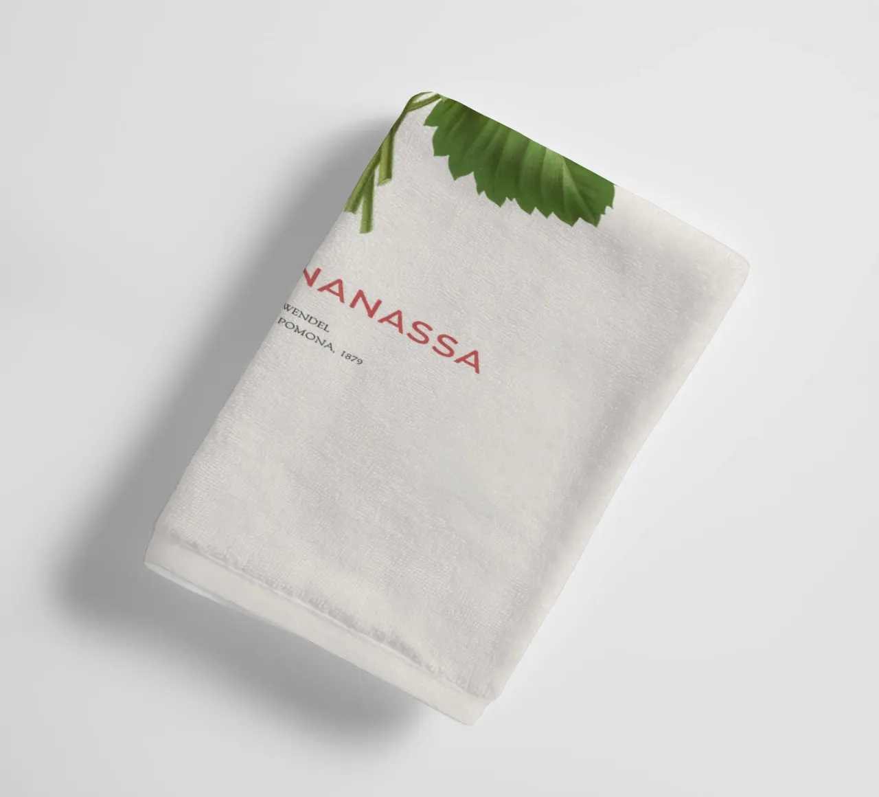 Gartenerdbeere oder Fragaria ananassa Handtuch von Vintagrafica