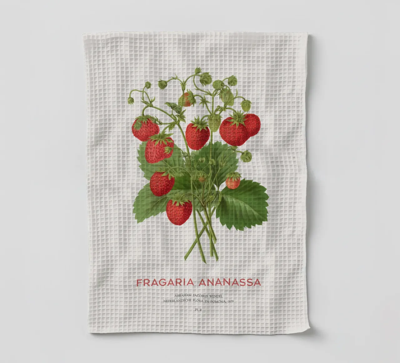 Gartenerdbeere oder Fragaria ananassa Geschirrtuch von Vintagrafica