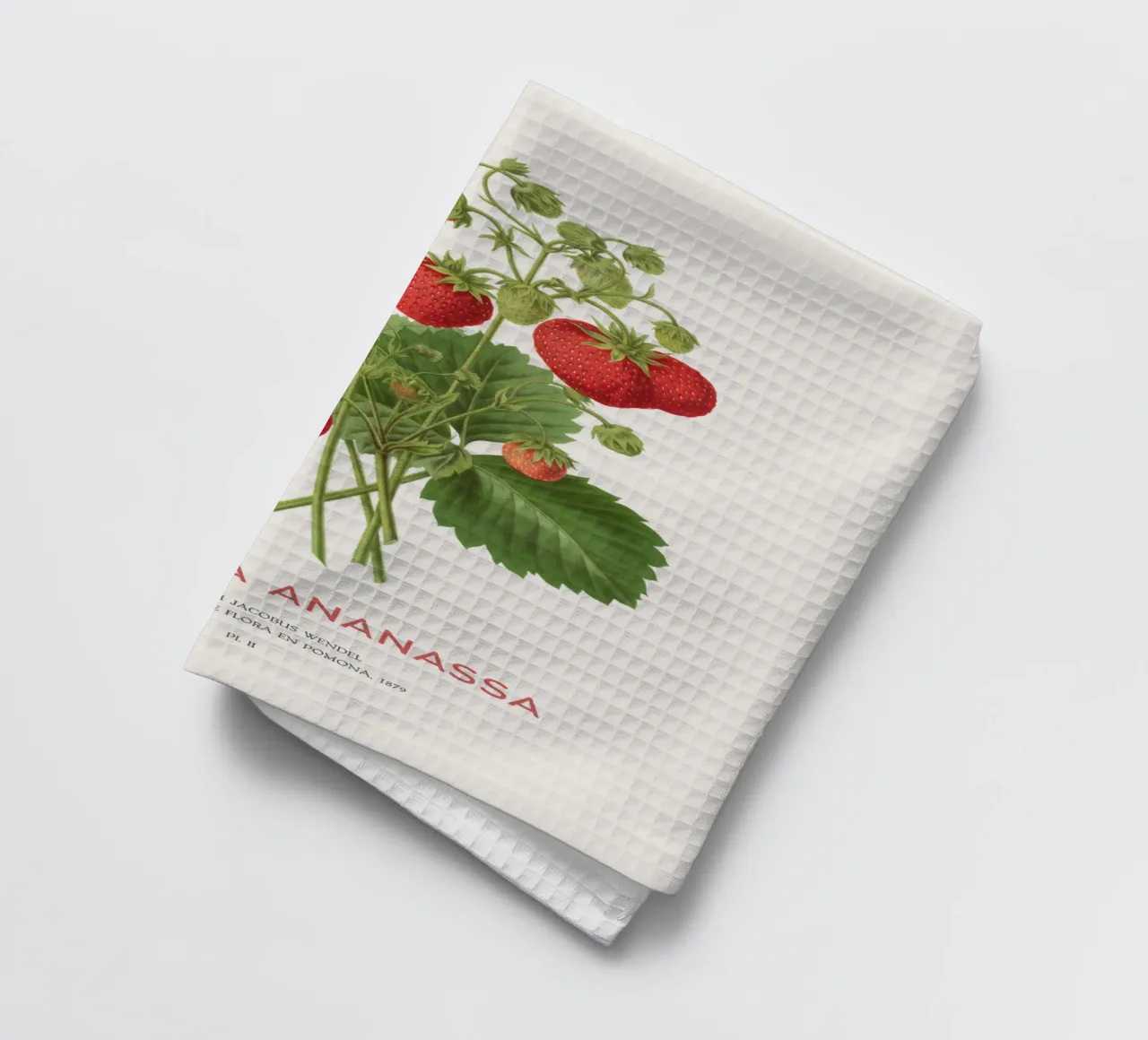 Gartenerdbeere oder Fragaria ananassa Geschirrtuch von Vintagrafica