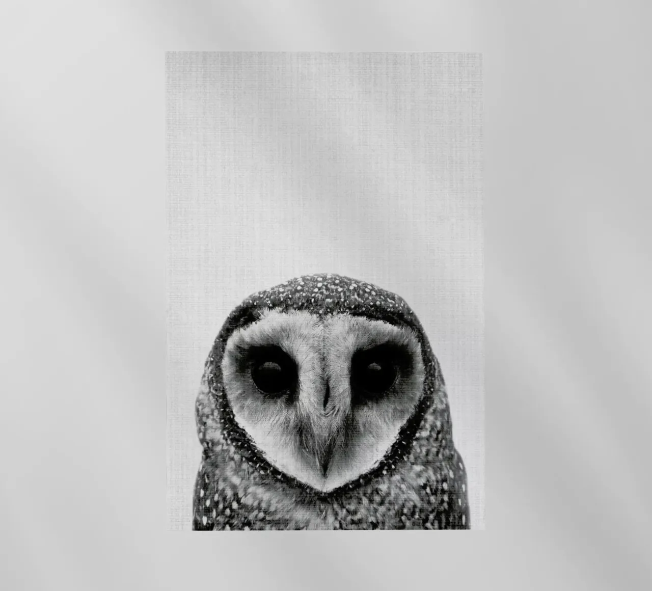 Print 40 pellicola backlit da Lila & Lola