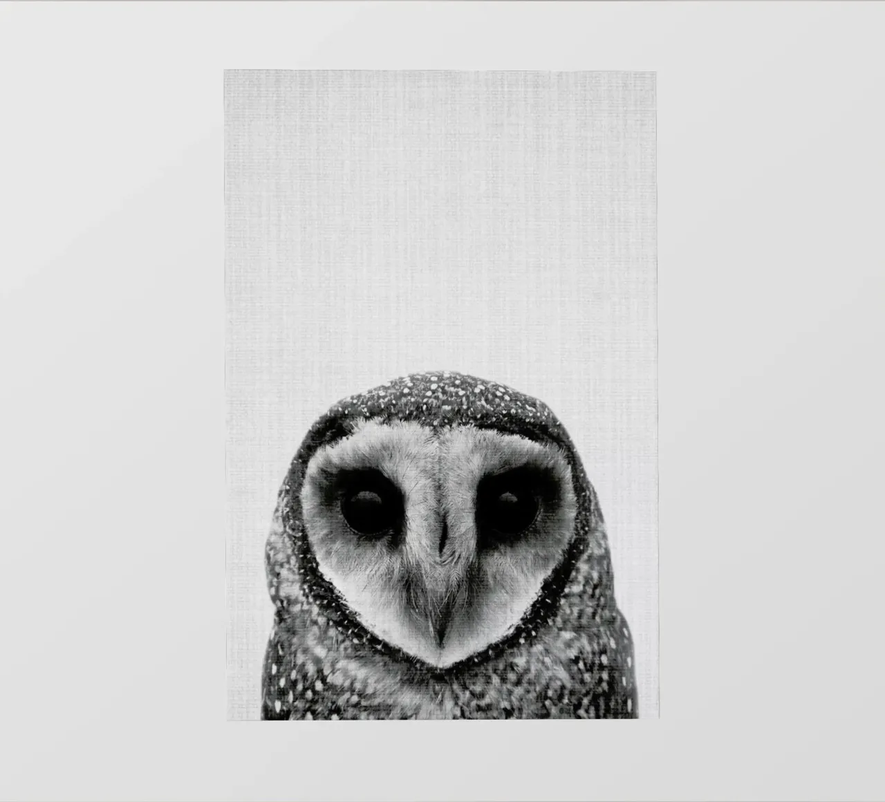 Print 40 pellicola backlit da Lila & Lola