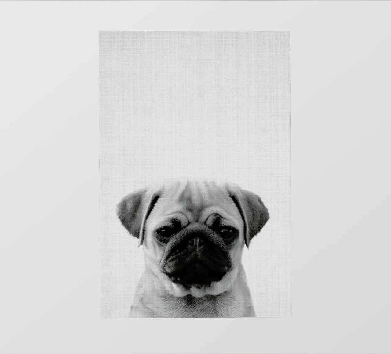 Print 44 lámina retroiluminada de Lila x Lola