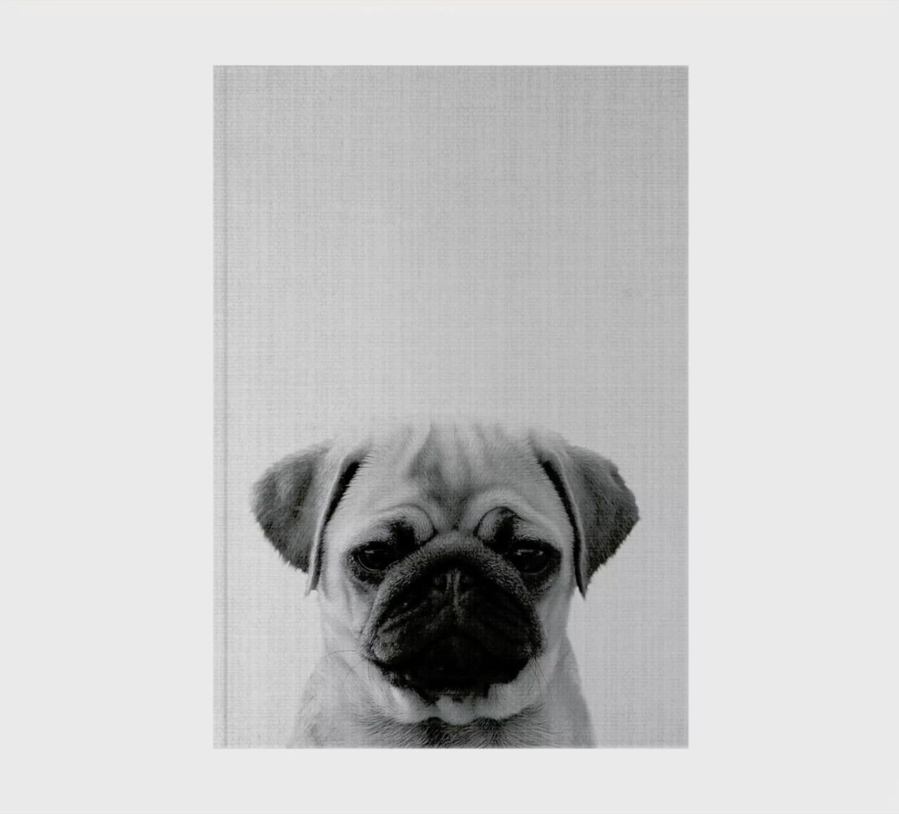 Print 44 notebook by Lila x Lola