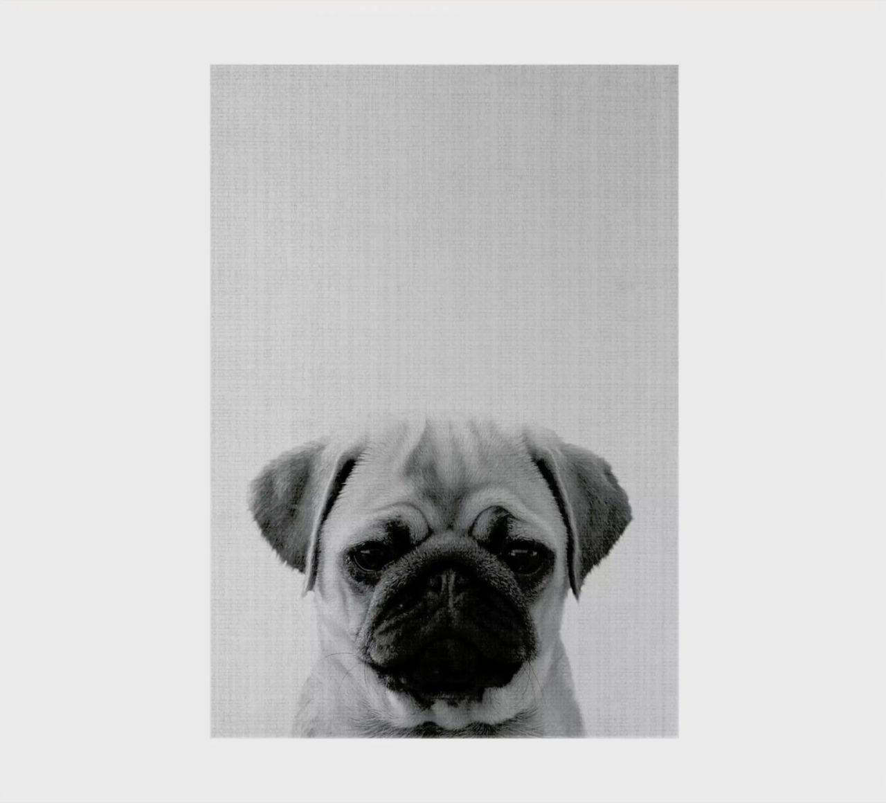 Print 44 notebook by Lila x Lola