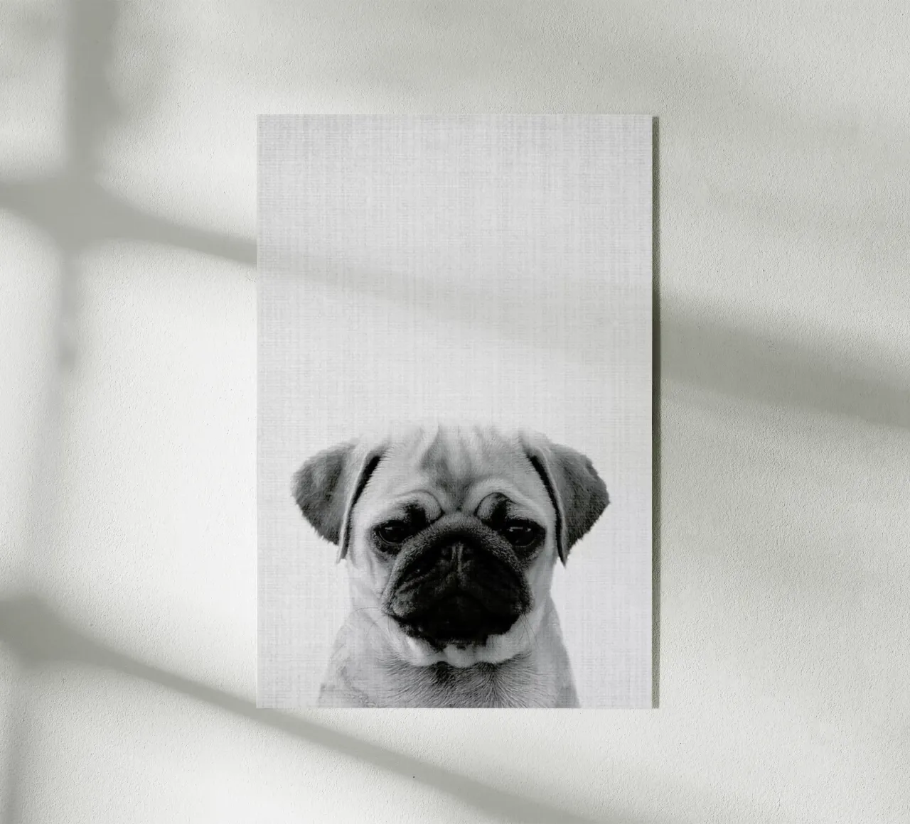 Print 44 Acryl-Glas von Lila x Lola