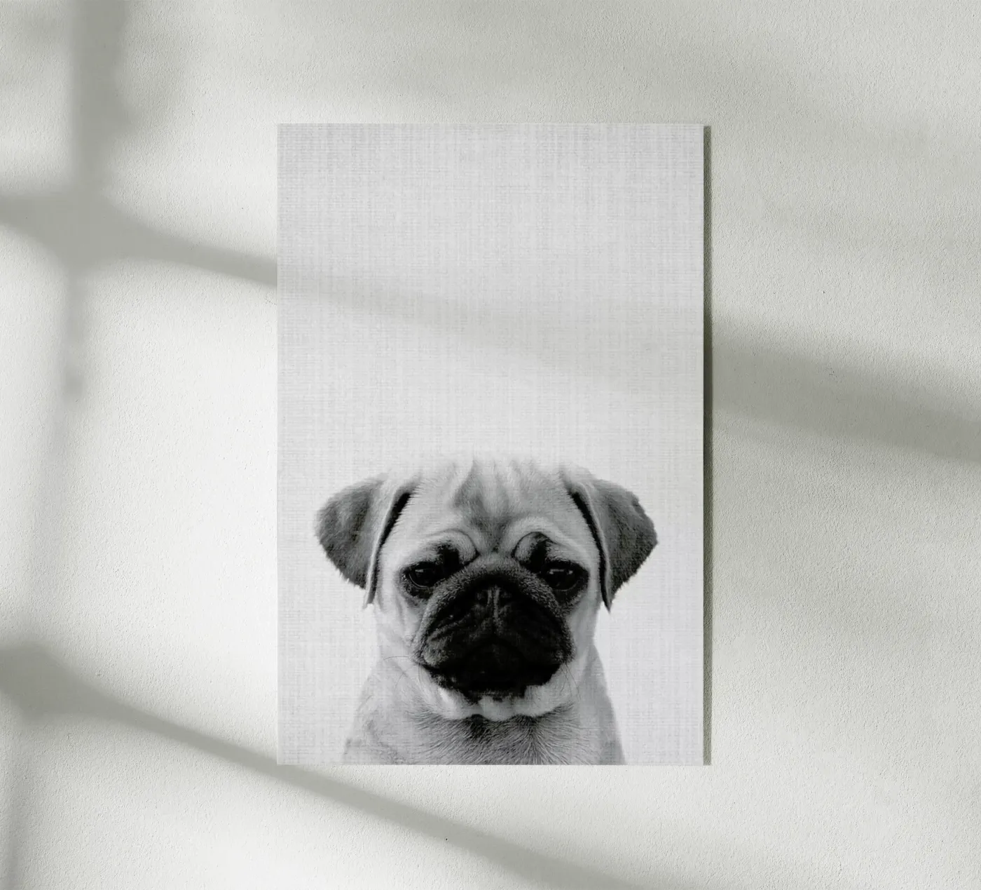 Print 44 plexiglas de Lila & Lola