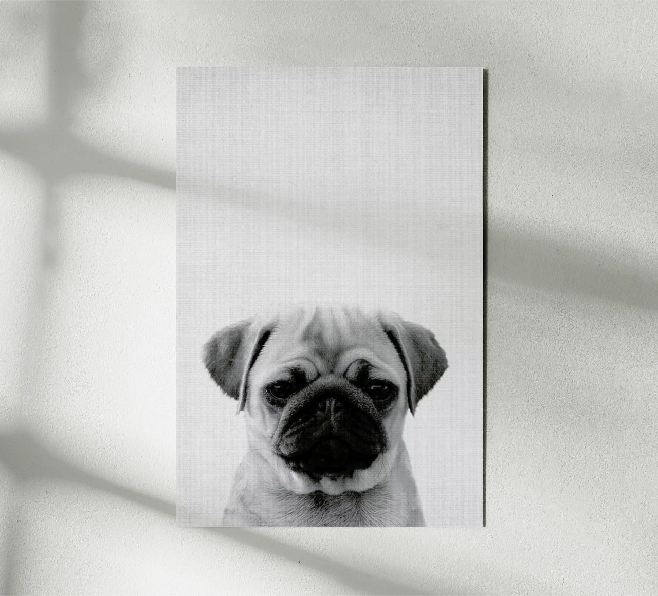 Print 44 alluminio dibond da Lila x Lola